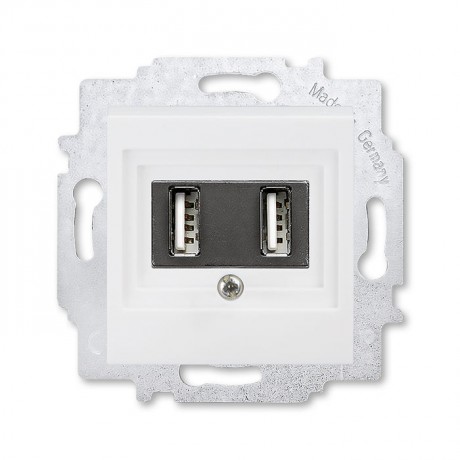 Розетка USB ABB LEVIT, скрытый монтаж, белый, 5014H-A00040 03W