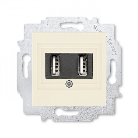 Розетка USB ABB LEVIT, скрытый монтаж, слоновая кость, 5014H-A00040 17W