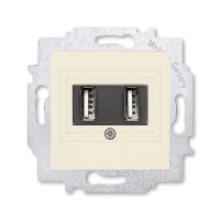 Розетка USB ABB LEVIT, скрытый монтаж, слоновая кость, 5014H-A00040 17W