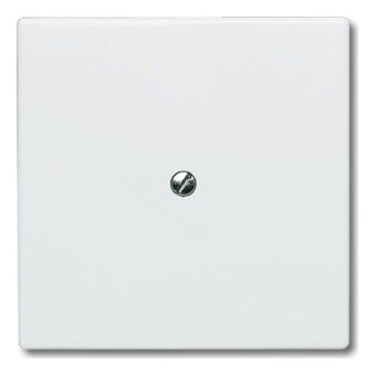 Заглушка ABB ALLWETTER, скрытый монтаж, альпийский белый