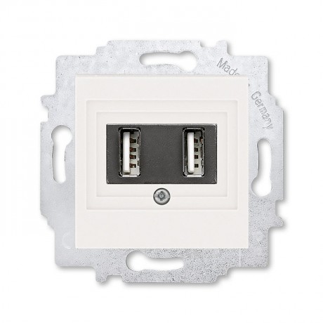 Розетка USB ABB LEVIT, скрытый монтаж, жемчуг, 5014H-A00040 68W