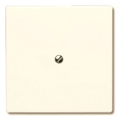 Заглушка ABB ALLWETTER, скрытый монтаж, слоновая кость