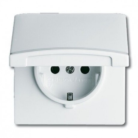 Розетка ABB ALLWETTER, скрытый монтаж, с заземлением, с крышкой, белый, 20 EUGK-32-101