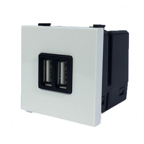 Зарядное устройство 2xUSB ABB ZENIT, скрытый монтаж, альпийский белый, N2285 BL