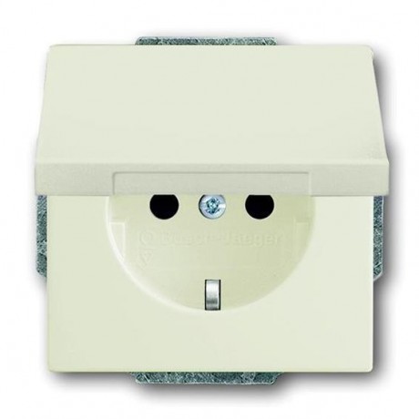 Розетка ABB AXCENT, скрытый монтаж, с заземлением, с крышкой, chalet-white, 20 EUK-896-500
