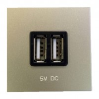 Зарядное устройство 2xUSB ABB ZENIT, скрытый монтаж, шампань, N2285 CV