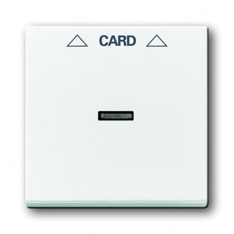 Накладка на карточный выключатель ABB, альпийский белый, 1792-84BJE