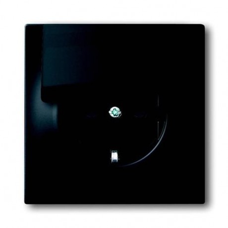 Розетка ABB IMPULS, скрытый монтаж, с заземлением, с крышкой, черный бархат, 20 EUK-775