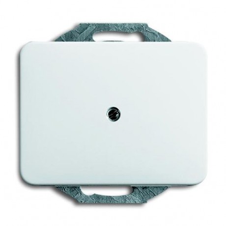 Заглушка ABB ALPHA NEA, скрытый монтаж, белый глянцевый, 1742-24G