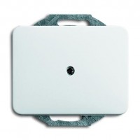 Заглушка ABB ALPHA NEA, скрытый монтаж, белый глянцевый, 1742-24G