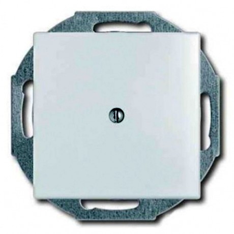 Заглушка ABB BASIC55, скрытый монтаж, слоновая кость, 2538-92-507