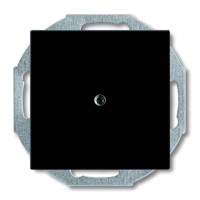Заглушка ABB BASIC55, скрытый монтаж, château-black, 2538-95-507