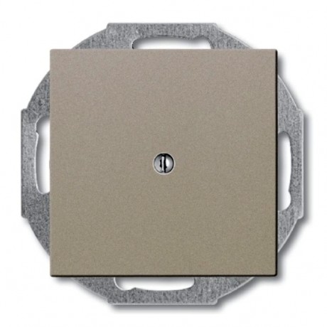 Заглушка ABB BASIC55, скрытый монтаж, шампань, 2538-93-507