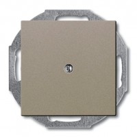 Заглушка ABB BASIC55, скрытый монтаж, шампань, 2538-93-507