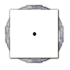 Вывод кабеля ABB BASIC55, скрытый монтаж, альпийский белый, 2527-94-507