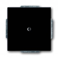 Заглушка ABB, скрытый монтаж, антрацит, 1742-81