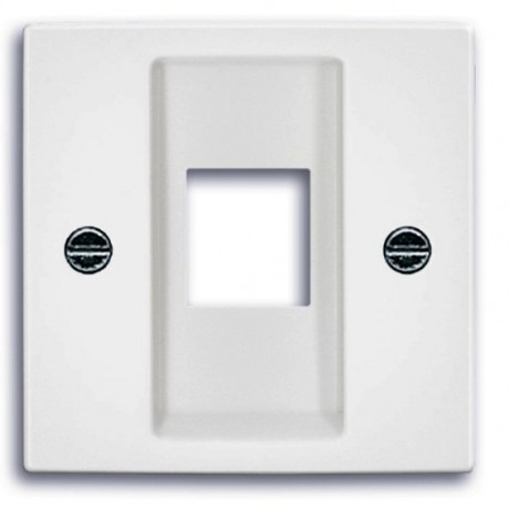 Накладка на розетку информационную ABB BASIC55, скрытый монтаж, альпийский белый, 2561-94-507