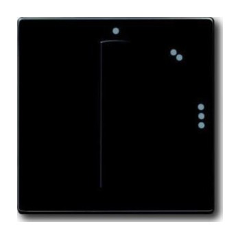 Накладка на поворотный выключатель ABB, антрацит, 2542 DR//02-81