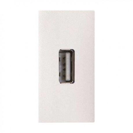 Механизм разъема USB ABB ZENIT, скрытый монтаж, альпийский белый, N2155.8 BL