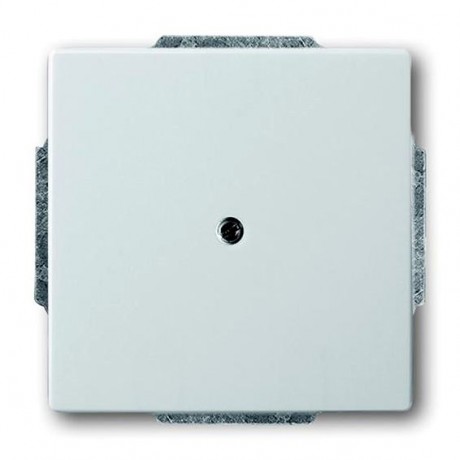 Заглушка ABB PURE СТАЛЬ, скрытый монтаж, стальной, 1749-866