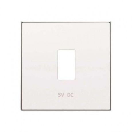 Накладка на розетку USB ABB SKY, скрытый монтаж, альпийский белый, 8585.2 BL
