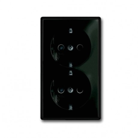 Розетка двухместная ABB BASIC55, скрытый монтаж, с заземлением, со шторками, chateau-black, 20-02 EUJKS-95-507