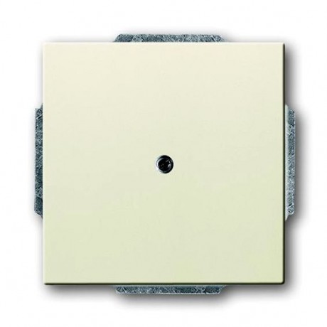 Заглушка ABB, скрытый монтаж, слоновая кость, 1742-82