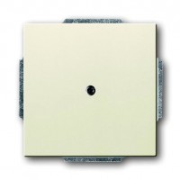 Заглушка ABB, скрытый монтаж, слоновая кость, 1742-82