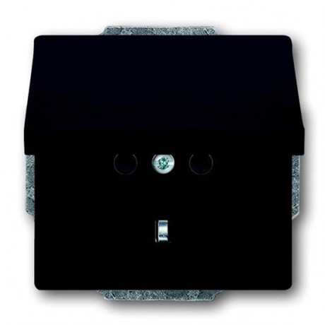 Розетка ABB, скрытый монтаж, с заземлением, с крышкой, антрацит, 20 EUK-81